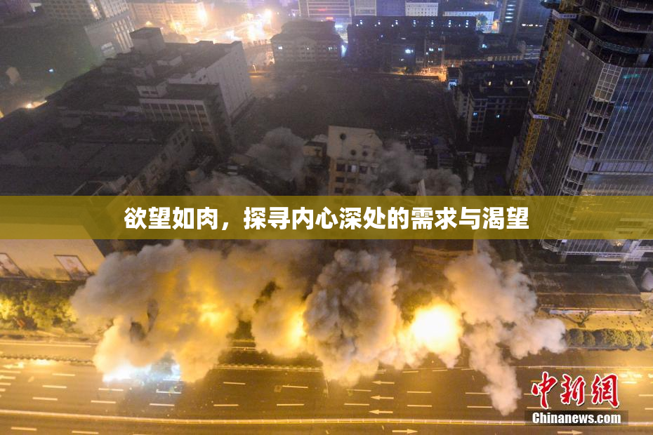 欲望如肉，探寻内心深处的需求与渴望