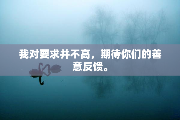我对要求并不高，期待你们的善意反馈。