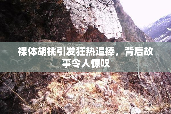 裸体胡桃引发狂热追捧，背后故事令人惊叹