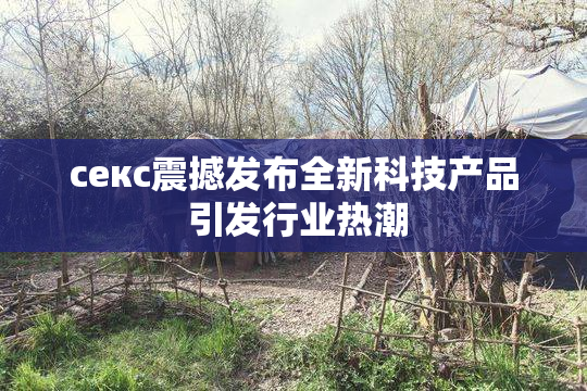 ceкс震撼发布全新科技产品 引发行业热潮