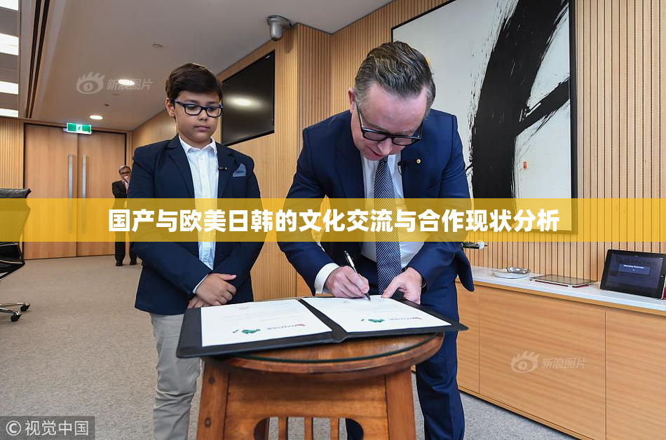 国产与欧美日韩的文化交流与合作现状分析