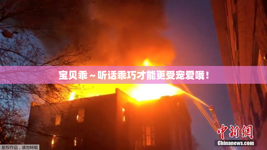 宝贝乖～听话乖巧才能更受宠爱哦！
