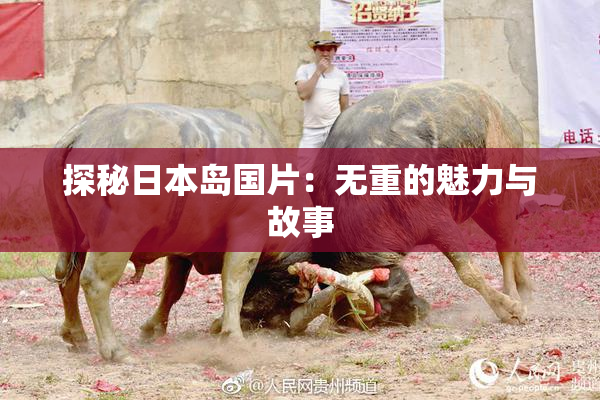 探秘日本岛国片：无重的魅力与故事