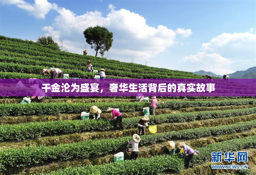 千金沦为盛宴，奢华生活背后的真实故事