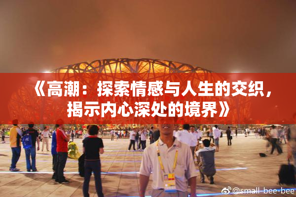 《高潮：探索情感与人生的交织，揭示内心深处的境界》