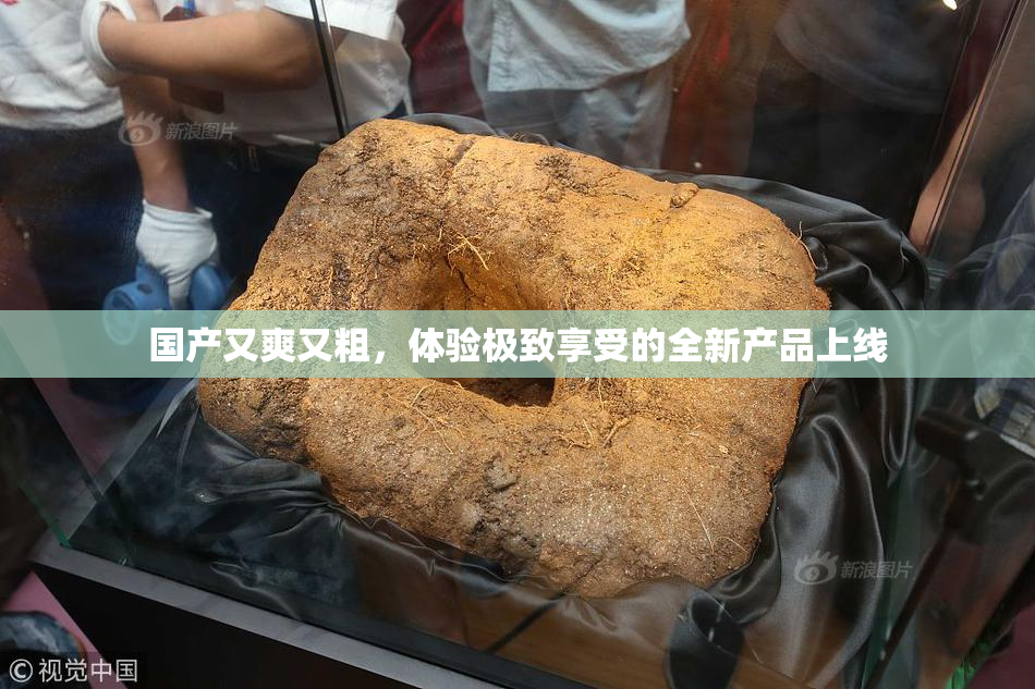 国产又爽又粗，体验极致享受的全新产品上线