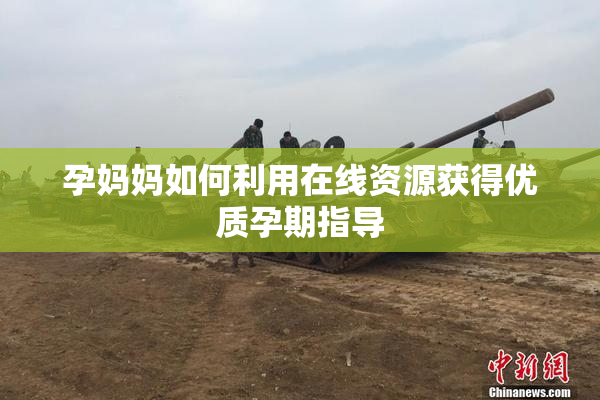 孕妈妈如何利用在线资源获得优质孕期指导