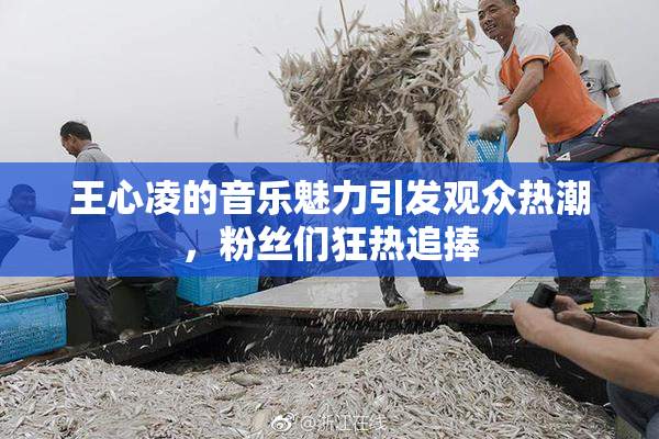 王心凌的音乐魅力引发观众热潮，粉丝们狂热追捧