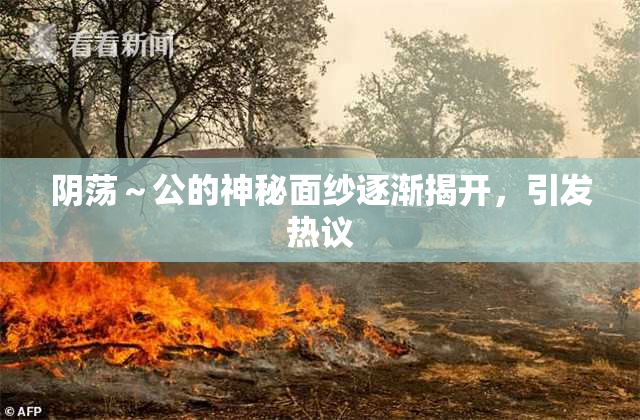 阴荡～公的神秘面纱逐渐揭开，引发热议