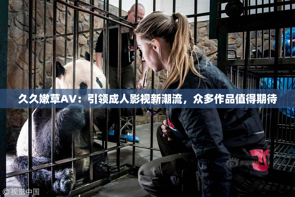 久久嫩草AV：引领成人影视新潮流，众多作品值得期待