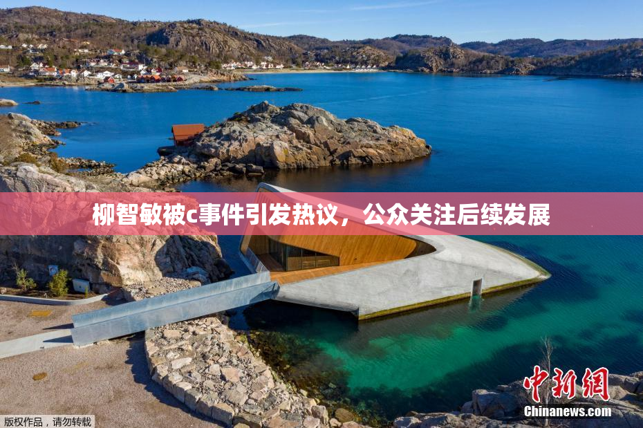 柳智敏被c事件引发热议，公众关注后续发展