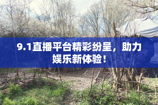 9.1直播平台精彩纷呈，助力娱乐新体验！