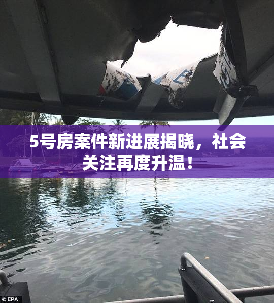 5号房案件新进展揭晓，社会关注再度升温！
