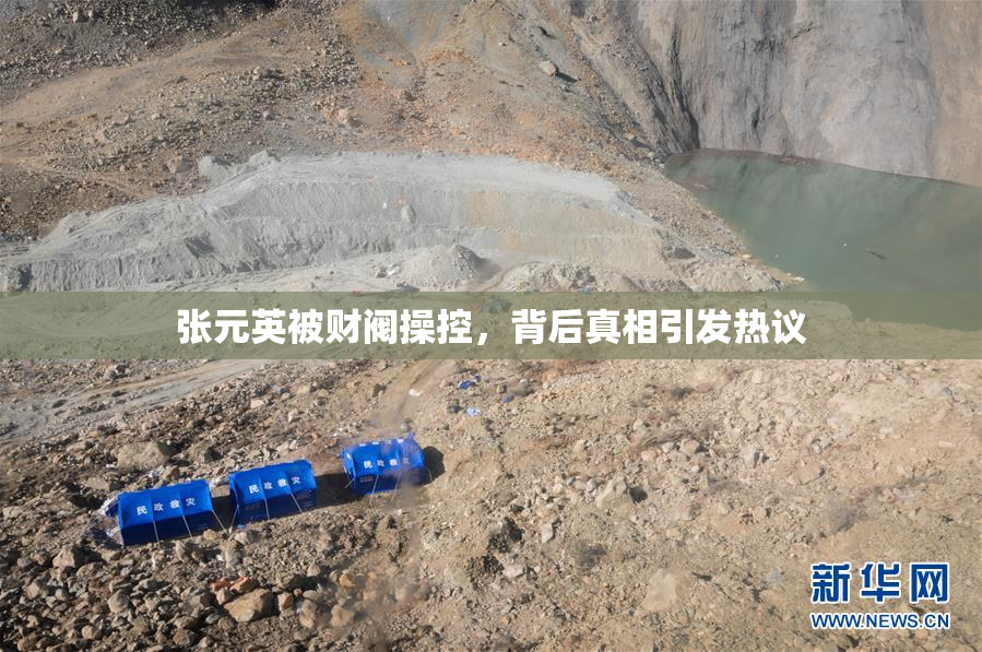 张元英被财阀操控，背后真相引发热议