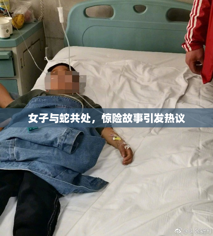 女子与蛇共处，惊险故事引发热议