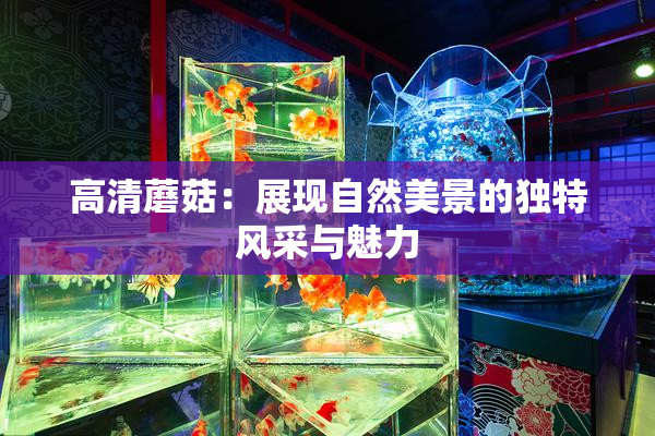高清蘑菇：展现自然美景的独特风采与魅力