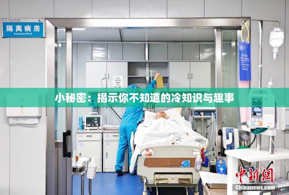 小秘密：揭示你不知道的冷知识与趣事