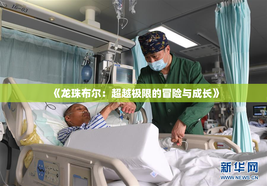 《龙珠布尔：超越极限的冒险与成长》