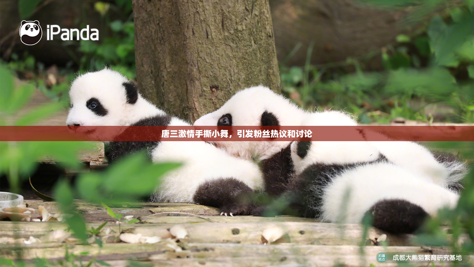 唐三激情手撕小舞，引发粉丝热议和讨论