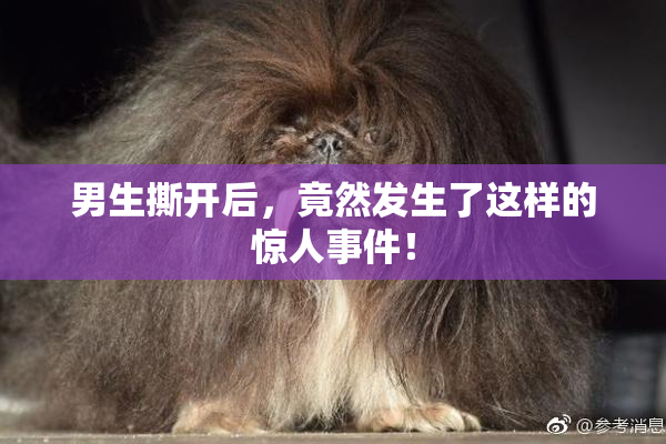 男生撕开后，竟然发生了这样的惊人事件！