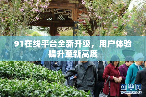 91在线平台全新升级，用户体验提升至新高度