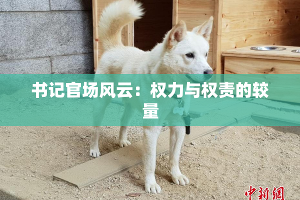 书记官场风云：权力与权责的较量