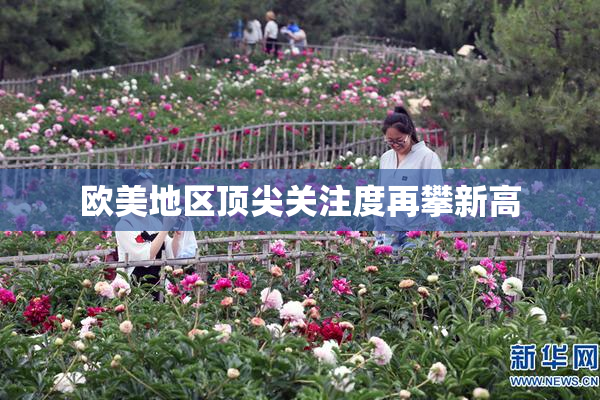 欧美地区顶尖关注度再攀新高