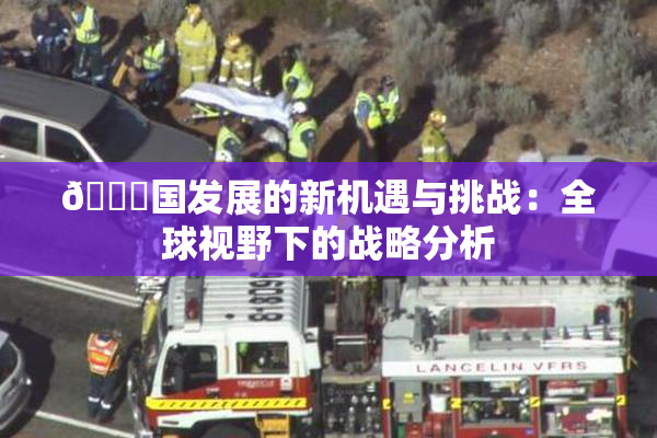 🔞国发展的新机遇与挑战：全球视野下的战略分析
