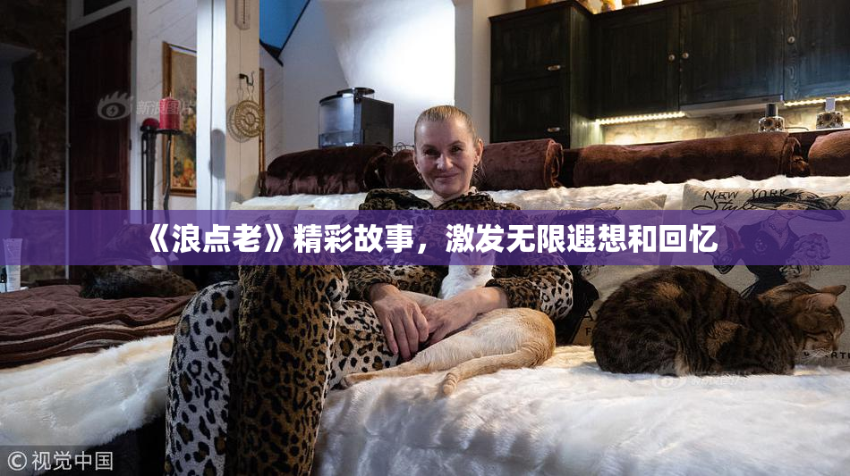《浪点老》精彩故事，激发无限遐想和回忆
