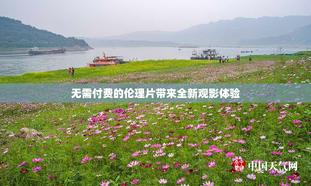 无需付费的伦理片带来全新观影体验