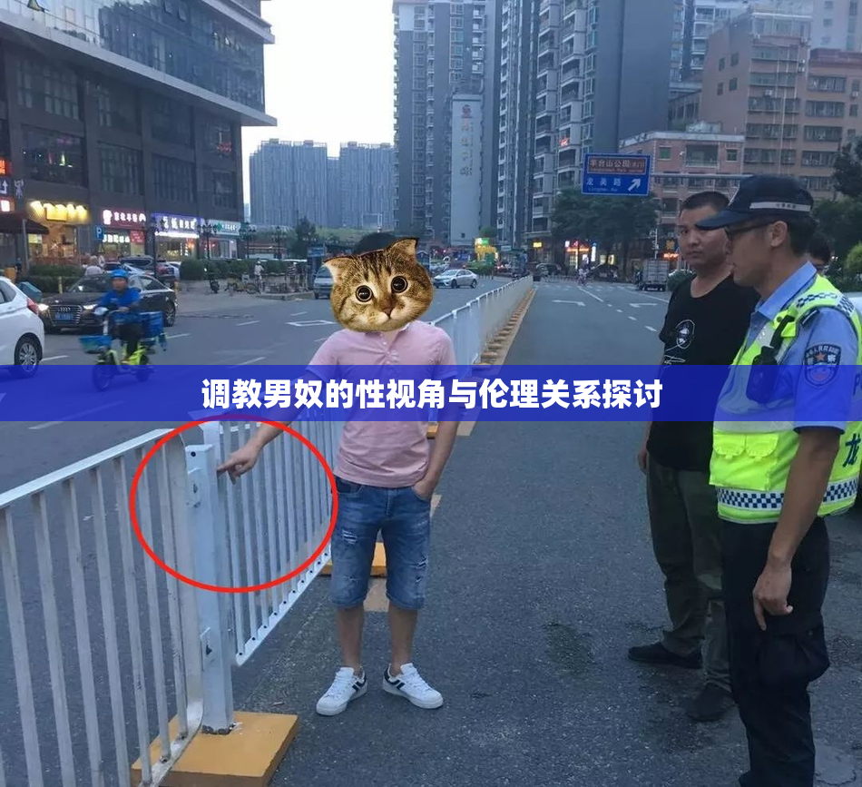 调教男奴的性视角与伦理关系探讨