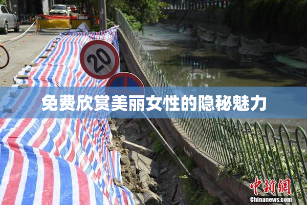 免费欣赏美丽女性的隐秘魅力