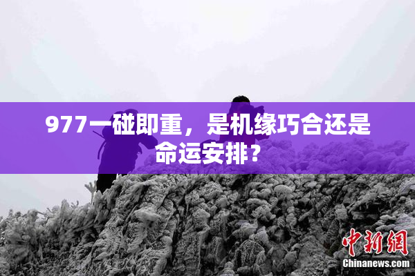 977一碰即重，是机缘巧合还是命运安排？