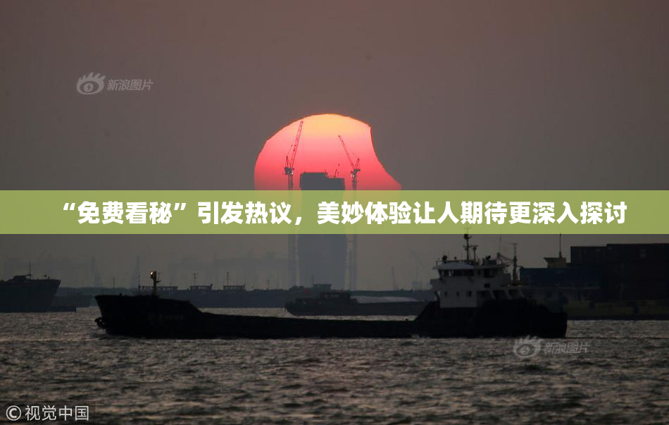 “免费看秘”引发热议，美妙体验让人期待更深入探讨