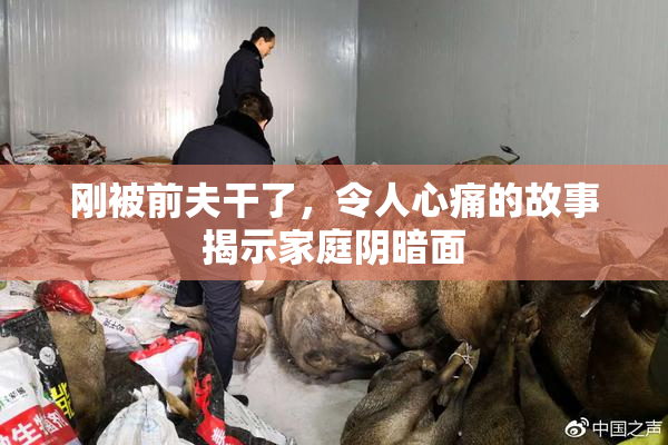 刚被前夫干了，令人心痛的故事揭示家庭阴暗面