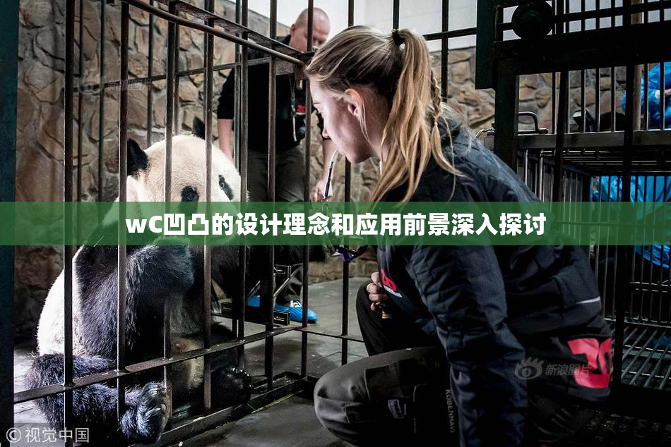 wC凹凸的设计理念和应用前景深入探讨