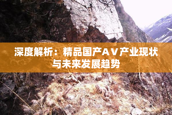 深度解析：精品国产AⅤ产业现状与未来发展趋势