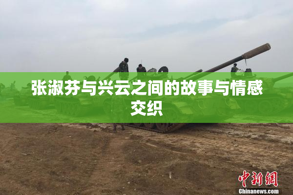 张淑芬与兴云之间的故事与情感交织