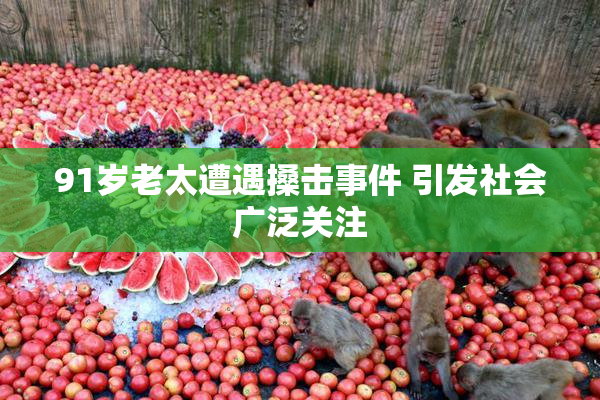 91岁老太遭遇搡击事件 引发社会广泛关注
