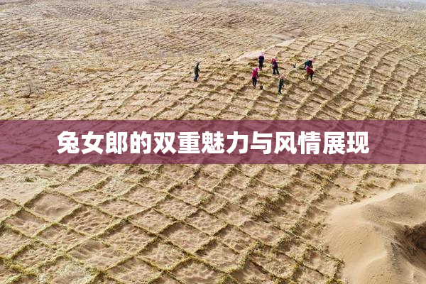 兔女郎的双重魅力与风情展现