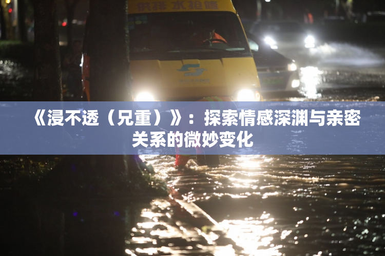 《浸不透（兄重）》：探索情感深渊与亲密关系的微妙变化