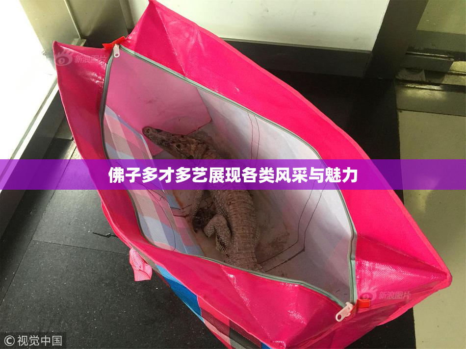 佛子多才多艺展现各类风采与魅力