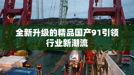 全新升级的精品国产91引领行业新潮流
