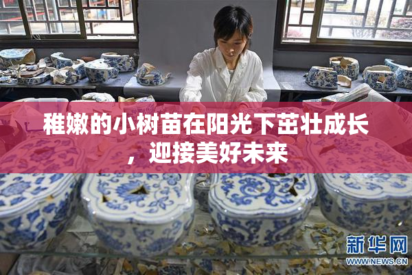 稚嫩的小树苗在阳光下茁壮成长，迎接美好未来