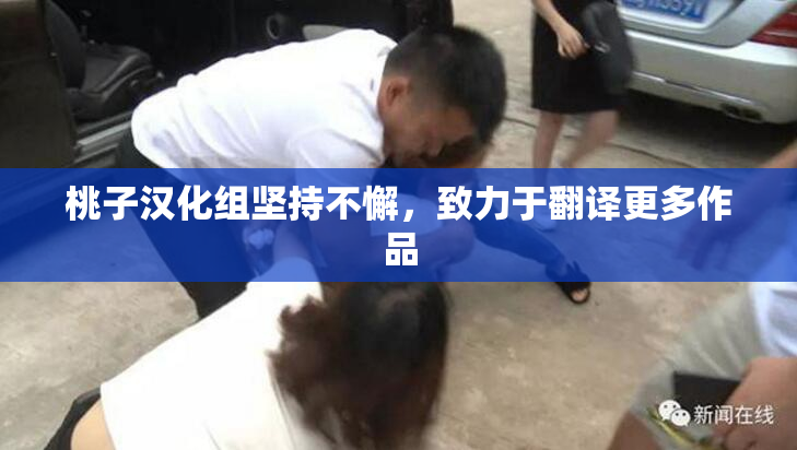 桃子汉化组坚持不懈，致力于翻译更多作品