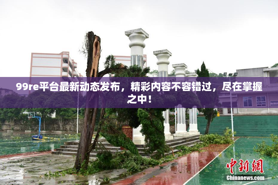 99re平台最新动态发布，精彩内容不容错过，尽在掌握之中！