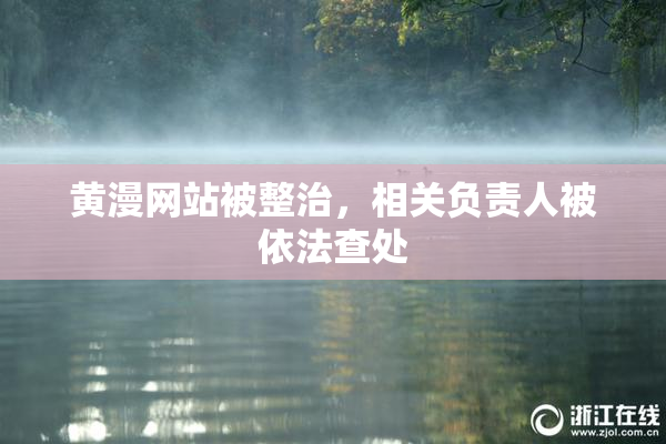 黄漫网站被整治，相关负责人被依法查处