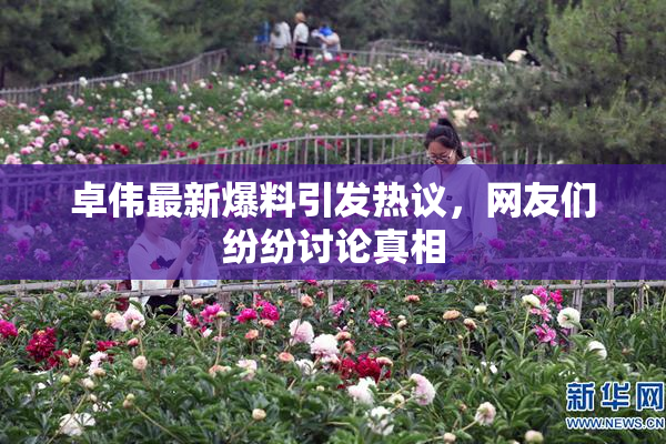 卓伟最新爆料引发热议，网友们纷纷讨论真相
