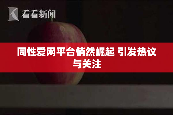 同性爱网平台悄然崛起 引发热议与关注