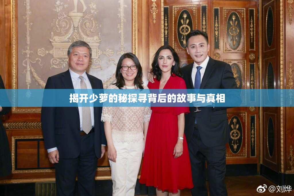 揭开少萝的秘探寻背后的故事与真相
